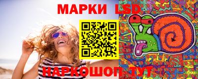 гидра Новозыбков