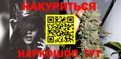 гидра Новозыбков