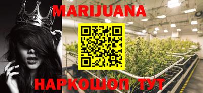 гидра Новозыбков