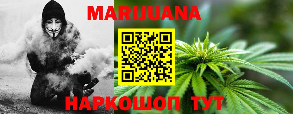 Канабис конопля Сорочинск